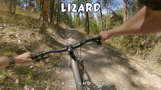 Lizard / Ashland, OR / MTB