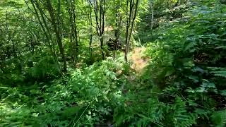 Maremola D41 - Oropa Wild Trail