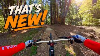 The Jumps on This Trail Just Got WAY Bigger!