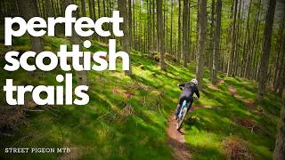 Have You Experienced This Sublime Scottish...