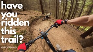 The HIDDEN MTB Trail At Glentress!