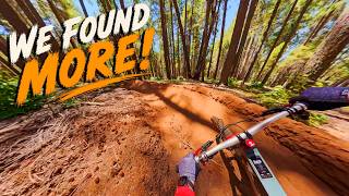 These Northern California MTB Trails Just Keep...