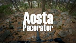 Pecorator | La Salle / Aosta Valley 2026