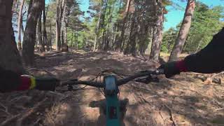 Waldegga and Riedji, Gspon, POV, eMTB,...