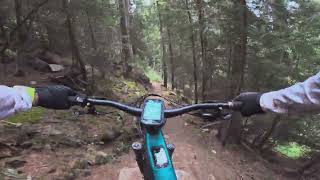Hackbodiwald and Talweg Ganter 1, 2, POV,...
