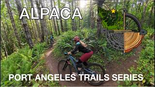 Port Angeles Trails Series: Alpaca