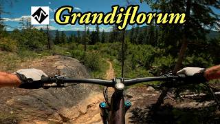Best expert MTB trail in Castlegar, BC -...