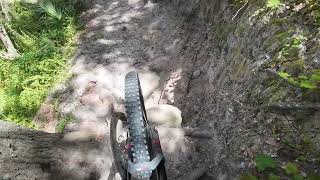 Alafia River State Park Roller Coaster