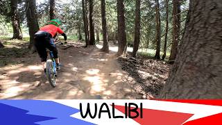 MTB Morzine Avoriaz 04.08.2026 sentiero WALIBI