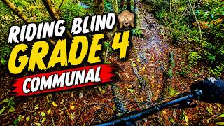 Riding Communal BLIND! | Riverhead Forest...