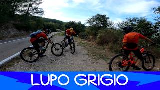 MTB Monte Morello 29.08.2026 sentiero LUPO GRIGIO