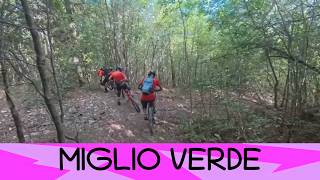 Miglio Verde 29/8/26 Monte Morello