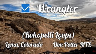 Fun and Flowy Blue Intermediate Trail