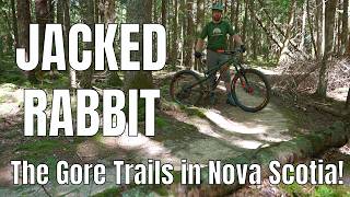 Jacked Rabbit at The Gore Trails in Nova Scotia
