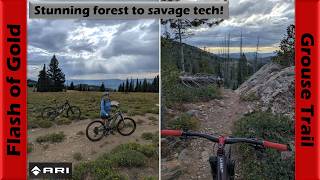 Flash of Gold to the gnarly Grouse Trail! |...