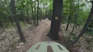 Gambler - Musky Mountain