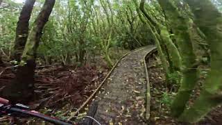 Magic Carpet @ Makara Peak MTB Park