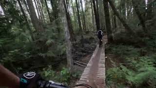 Hoochie Koochie - Dumont, Nanaimo - 2026 August