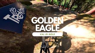 Golden Eagle  Bikepark Val di Sole  Italy...