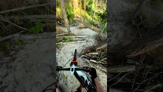 Black Trail Dune Style