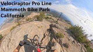Velociraptor Pro Line | Mammoth Bike Park,...