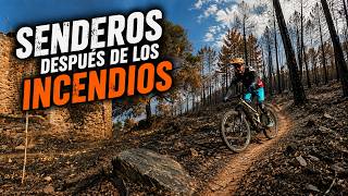 Así están los senderos después de los...