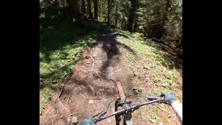 Chevreuil Trail Lower section - Champery...