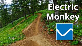 Electric Monkey [Blairmore]