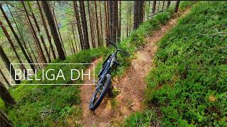 CHIOUT / BIELIGA DH 2026