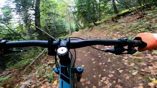 Lower Basin Trails MTB - Upper Basin