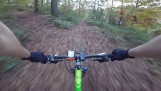 Boschi di Carrega MTB (Collecchio, Parma)