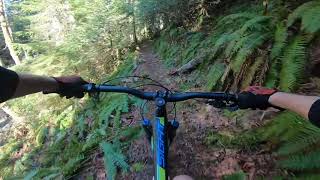 Thames Creek Canyon
