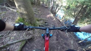 Robbie's Path + Hard Option (Fallen Trees!) -...