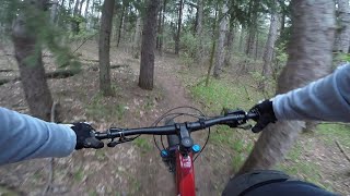 Tight Twisty Trail that wants to Impale you -...