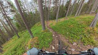 Nesbyen - Hylla - MTB POV