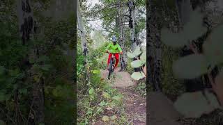 Safari Planet l 2 POV’s