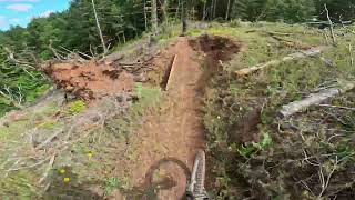 Playtime - McDonald Forest MTB