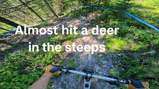 Whitefish Bike Park - Montana MTB