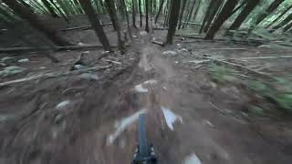 Loamy trail in Castlegar BC