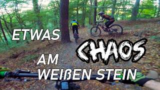 Etwas Chaos am Weißen Stein // Heidelberg //...