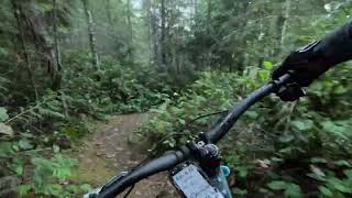 Schadenfreude - Ridge Runner, Nanaimo - 2026 Sept