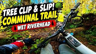 Clipped a Tree & Slipped On Foot!  |...