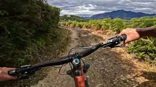 Phoenix @ 7 Mile, Queenstown