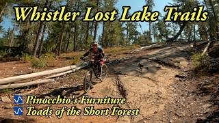 Toads of the Short Forest