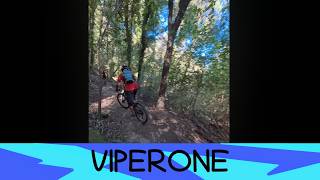 Viperone 12/9/26 Piombino