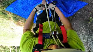 POV -- Single Rope Technique (SRT) Tree Climb...