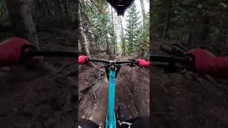 Fireswamp Section 3 | Deer Valley MTB  #mtb