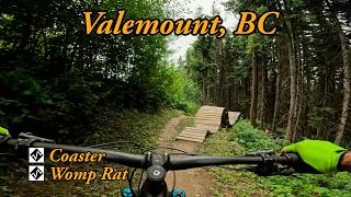 Expert MTB trails in Valemount, BC - Coaster...