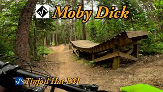 Tinfoil Hat and Moby Dick