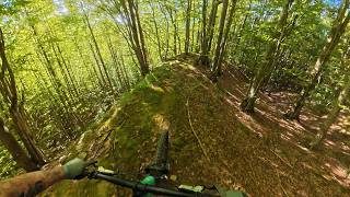 Bosco di Corniglio - Cavrones - MTB POV
